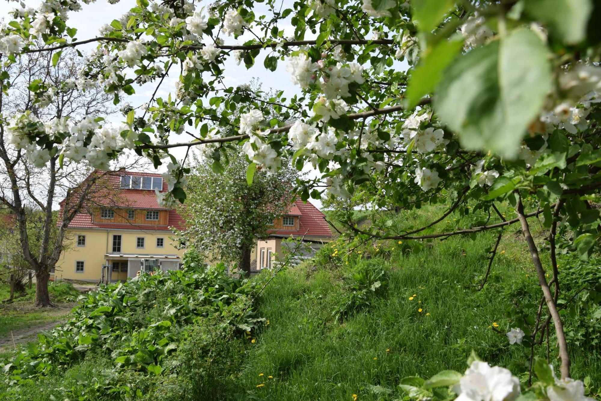 Adlerhof Apartment Bahretal Exterior photo